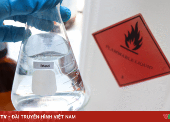 package media 25940846043766950201699 41716619288243548125878.png