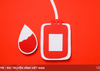 package media 28051825911856165528880 86579401254025513166871.png