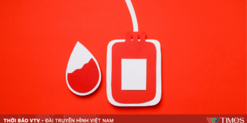 package media 28051825911856165528880 86579401254025513166871.png