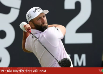 package media 49874299292920773498498 19066875594792165215246.png