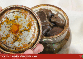 package media 57424940565815712986280 30283969235990915227885.png