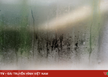 package media 70532467407828421365690 79150092149632199690719.png