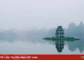 Sương mù dày đặc: Nguy cơ dị ứng đường hô hấp package media 82030741899377540039139 99054436928453082078118.png