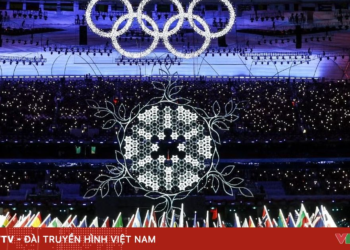 package media 91515476050979386360030 26614262512618370369789.png