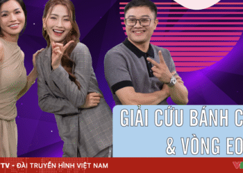 Giải cứu bánh chưng và vòng eo poster dnbkd 02 75961516718946144439412 89778411768644367098451.png