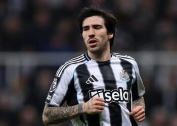 sandro tonali 1002174724.jpg