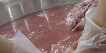 so attp tphcm phat canh bao toi toan he thong giao duc mo rong kiem tra sago food 1237.jpg