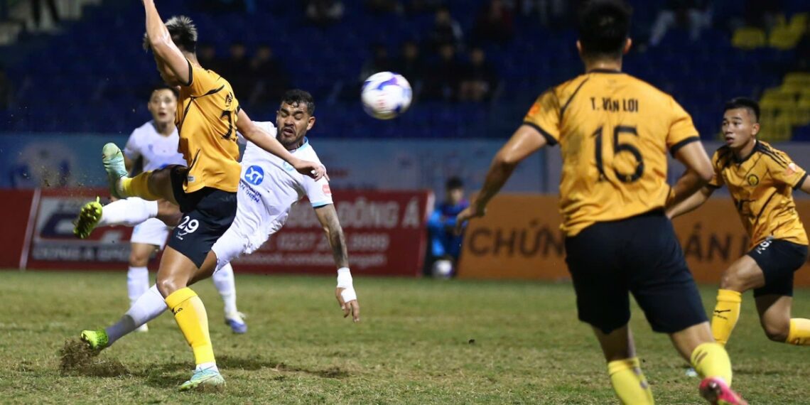 thanhho 0102192631.jpg