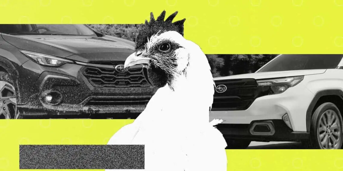 thong ke thu vi 3 chu so huu o to subaru thuong xuyen cho ga tren xe 654.webp.jpeg