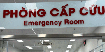 tuong say ruou sau bua com cung hoa vang nguoi dan ong dot quy nang 515.png