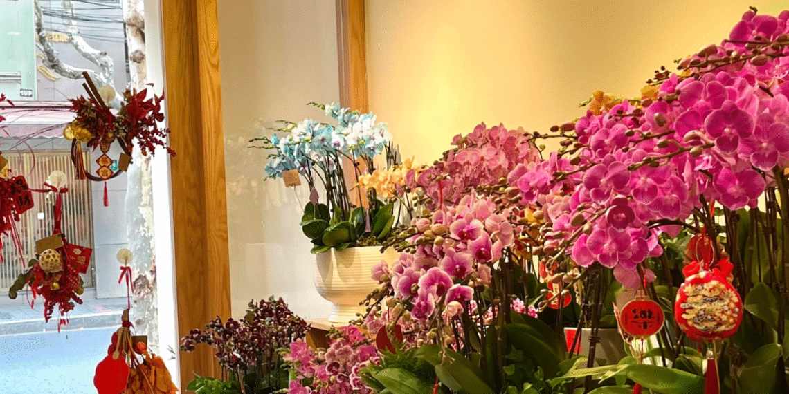 vi sao hoa lan len ngoi dip tet xuat hien nhieu trong nha pho chung cu 3372.png