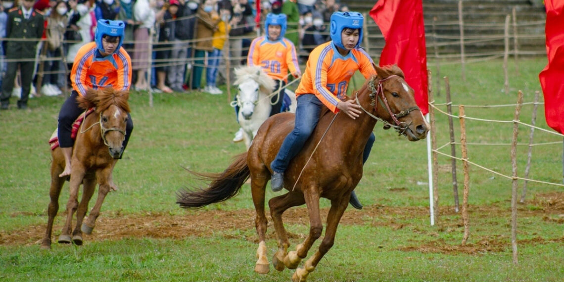 Vó ngựa mùa Xuân ở gò Thì Thùng vo ngua mua xuan o go thi thung 1382.jpg