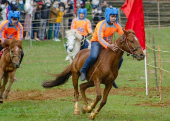 vo ngua mua xuan o go thi thung 1382.jpg