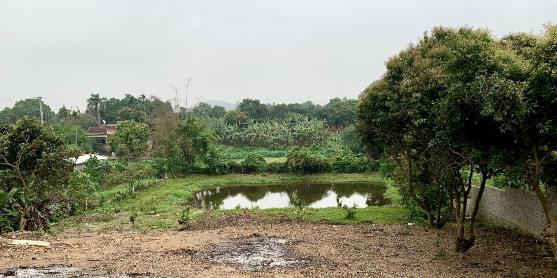 Xây nhà trên đất ao san lấp từ năm 1993, trưởng thôn có được quyền xác nhận quản lý đất?