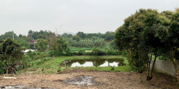 xay nha tren dat ao san lap tu nam 1993 co duoc cap so do dat o 1109.jpg