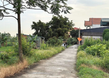 xay nha tren dat nong nghiep xin cap so do co phai nop lai so loi bat hop phap 159.jpg