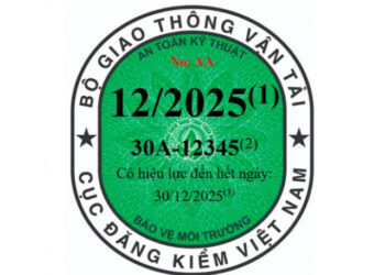 xehay dang kiem 110226 1.jpg