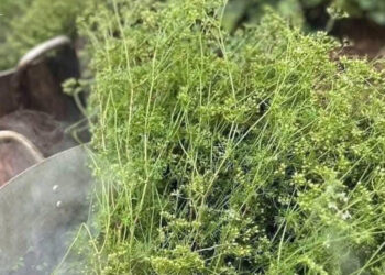 xong la mui gia ngay tet khong phai ai cung nen lam 930.jpg