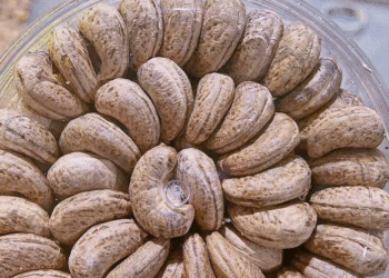 2 tac hai khi an hat dieu it ai biet 2164.png