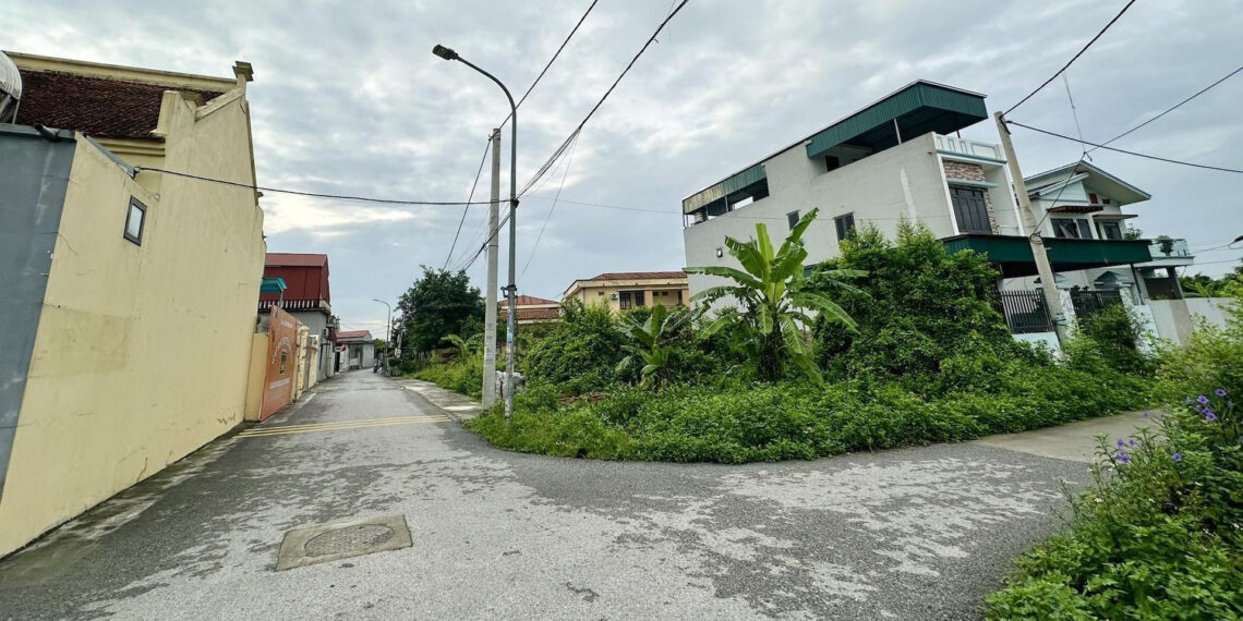 3 ho tren cung thua dat bi thu hoi di o tro bo huong dan quyen loi tai dinh cu 65.jpg