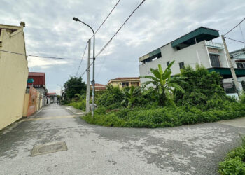 3 ho tren cung thua dat bi thu hoi di o tro bo huong dan quyen loi tai dinh cu 65.jpg