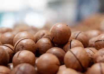 3 tac dung phu cua hat mac ca 2878.png