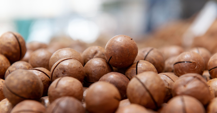 3 tác dụng phụ của hạt mắc ca 3 tac dung phu cua hat mac ca 2878.png