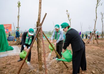 4 1 lanh dao hai ben trong cay trong khuon kho ngay hoi jpg jpg.17220.jpeg