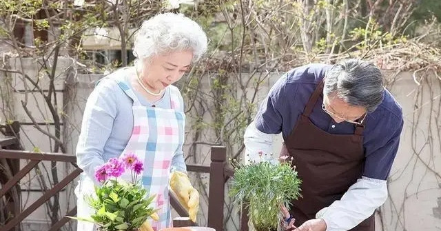 5 đặc điểm hay xuất hiện ở người sống thọ khỏe mạnh 5 dac diem hay xuat hien o nguoi song tho khoe manh 1423.jpg