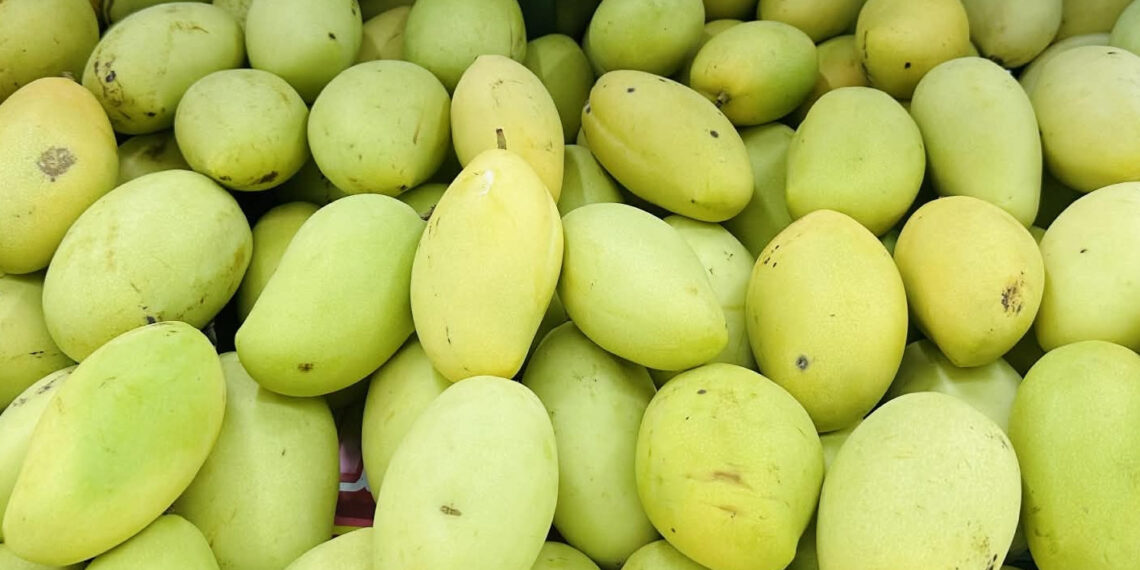 5 loại quả quen thuộc chứa nhiều vitamin C hơn chanh 5 loai qua quen thuoc chua nhieu vitamin c hon chanh 1615.jpg