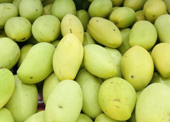 5 loại quả quen thuộc chứa nhiều vitamin C hơn chanh 5 loai qua quen thuoc chua nhieu vitamin c hon chanh 1615.jpg