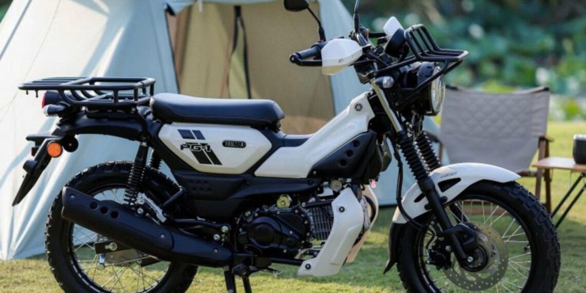 5581774921900 yamaha pg 1 co them ban dac biet anhdaidien.jpg