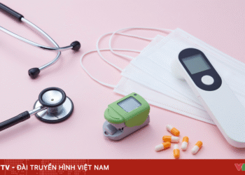 anh minh hoa 13 72246015124262720813781 68946174772297245846454.png