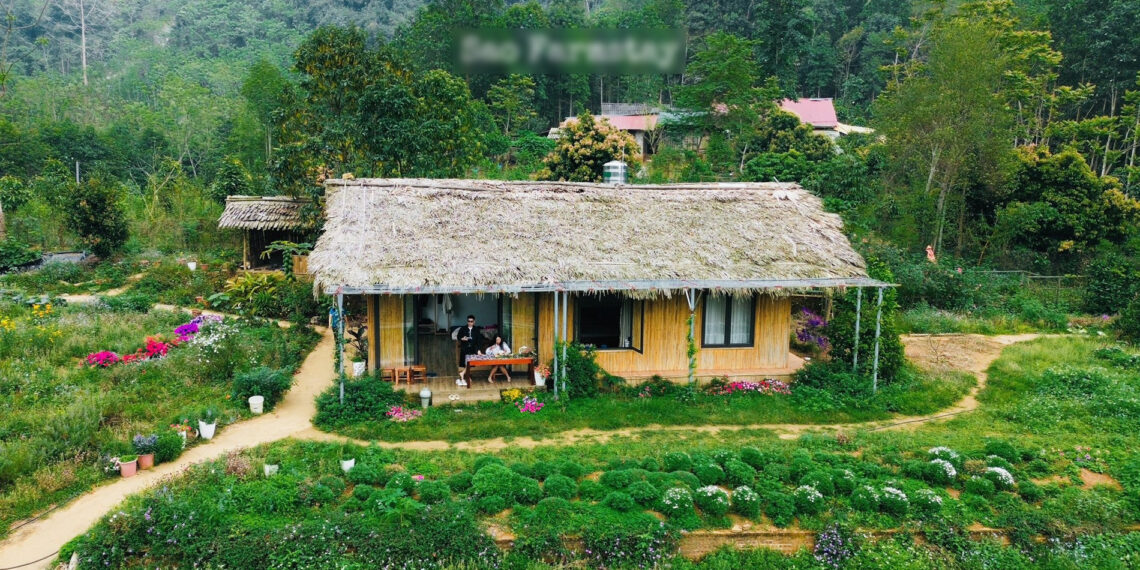 ban lang xanh mat cach ha noi 250km khach vuot xa den hai rau tu nau com 2201.jpg