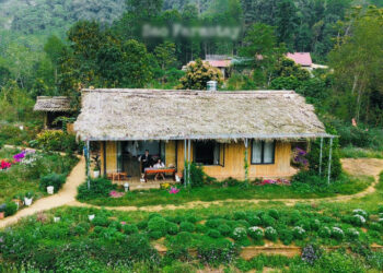 ban lang xanh mat cach ha noi 250km khach vuot xa den hai rau tu nau com 2201.jpg