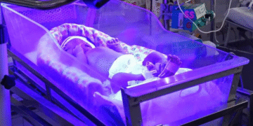 be trai chao doi 30 gio da phai bao dong do thay mau khan 221.png