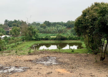 Bộ trả lời vụ đất vườn ôm đất ở, một thửa 2 sổ đỏ: Lên thổ cư có phải tách thửa? Bộ trả lời vụ đất vườn ôm đất ở, một thửa 2 sổ đỏ: Lên thổ cư có phải tách thửa?