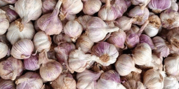 cach an toi tan dung nhieu hoat chat 2129.png