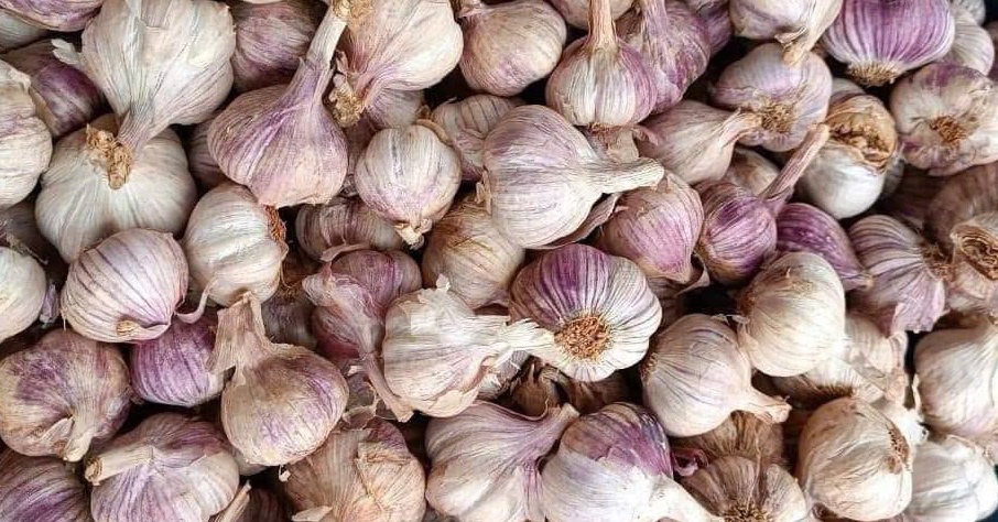 Cách ăn tỏi tận dụng nhiều hoạt chất phòng ngừa bệnh tật cach an toi tan dung nhieu hoat chat 2129.png