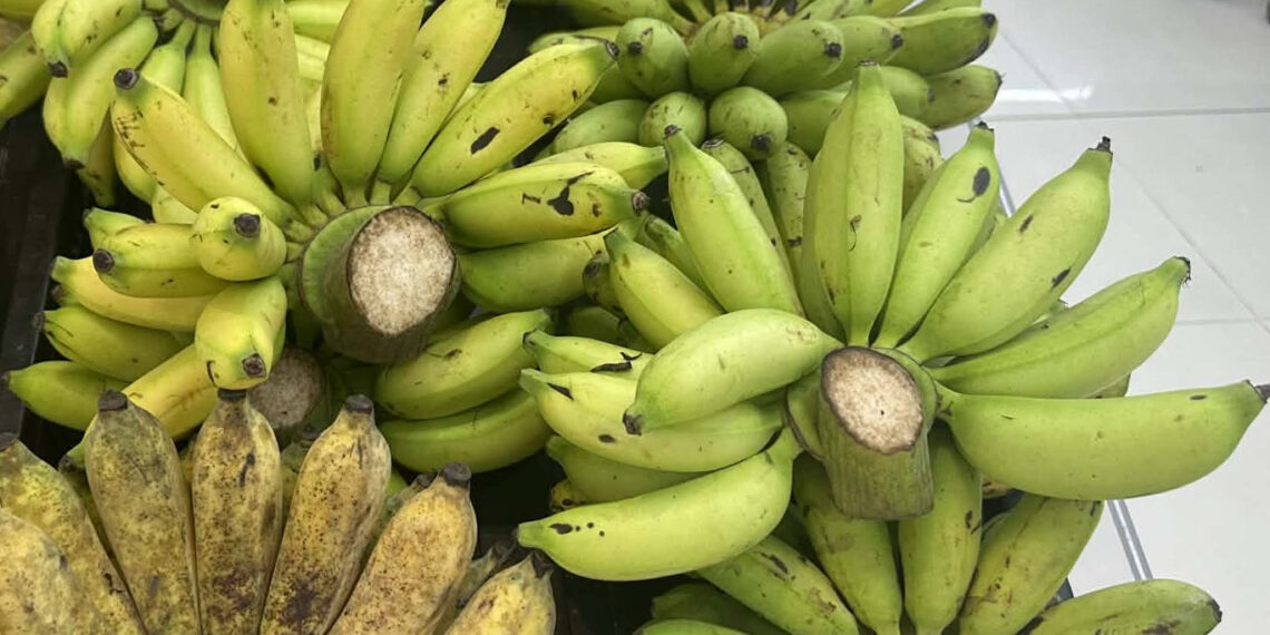 Chuyên gia chia sẻ sự thay đổi của cơ thể khi ăn chuối hằng ngày trong một tuần chuyen gia chia se su thay doi cua co the an chuoi hang ngay trong mot tuan 2363.jpg