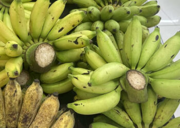 Chuyên gia chia sẻ sự thay đổi của cơ thể khi ăn chuối hằng ngày trong một tuần