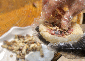 dac san dien bien co mon nhieu nguoi ngai thu co mon duoc vi nhu than duoc 1476.png