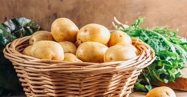 Điều gì xảy ra với đường huyết khi bạn ăn khoai tây thường xuyên? dieu gi xay ra voi duong huyet khi ban an khoai tay thuong xuyen 2152.jpg