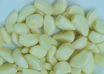 Hai gia vị tăng đề kháng khi thời tiết 'ẩm ương' hai gia vi tang de khang khi thoi tiet am uong 2158.png