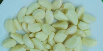 hai gia vi tang de khang khi thoi tiet am uong 2158.png