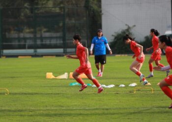 img 8376 scaled e1772700222502 0503160132.jpg