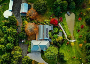 little etoile giai phap cham soc toan dien cho me va be tu uc 1971.jpg