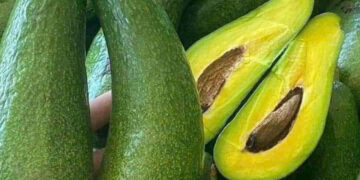 loai qua beo ngay tro thu cho nguoi giam can va mac benh tim mach 3288.jpg