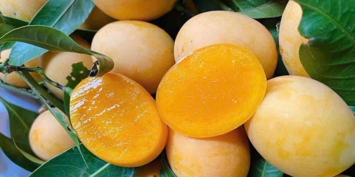 loai qua giai nhiet ban day cho nhung nguoi dau da day khong nen an 2086.jpg