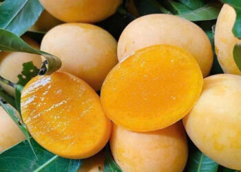 Loại quả giải nhiệt bán đầy chợ nhưng người đau dạ dày không nên ăn loai qua giai nhiet ban day cho nhung nguoi dau da day khong nen an 2086.jpg